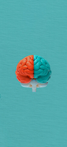 Neurociências